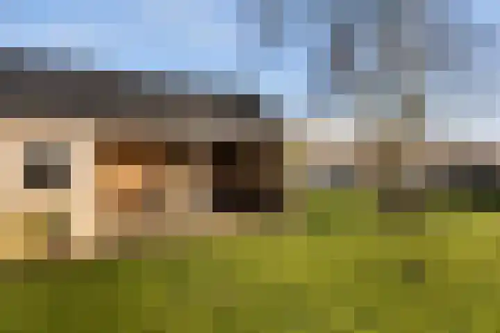 Trekwei 3 Driezum thumbnail 44