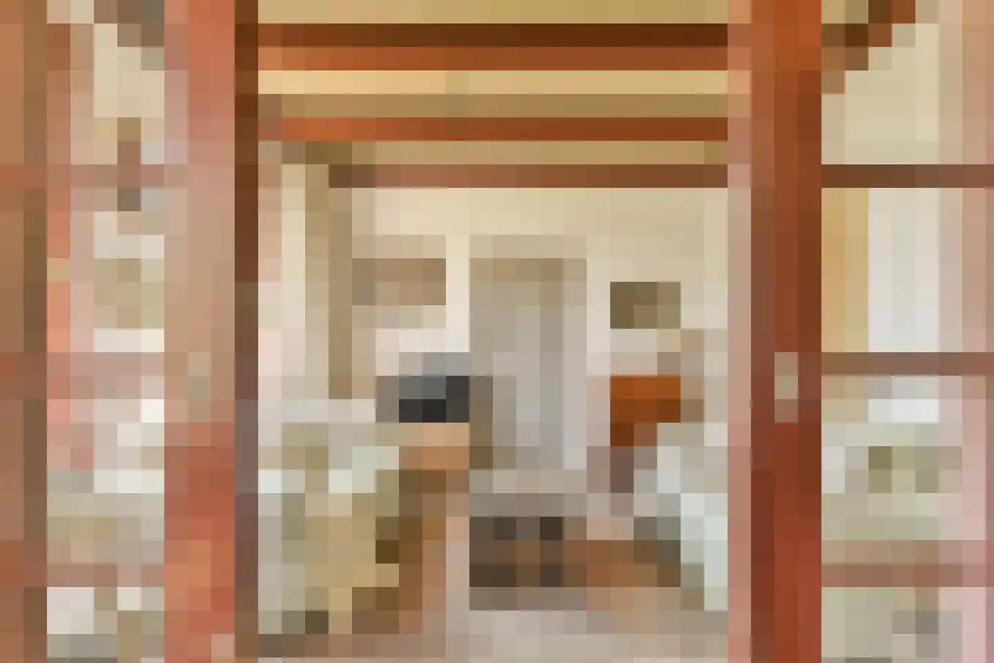 Trekwei 7 Workum thumbnail 13
