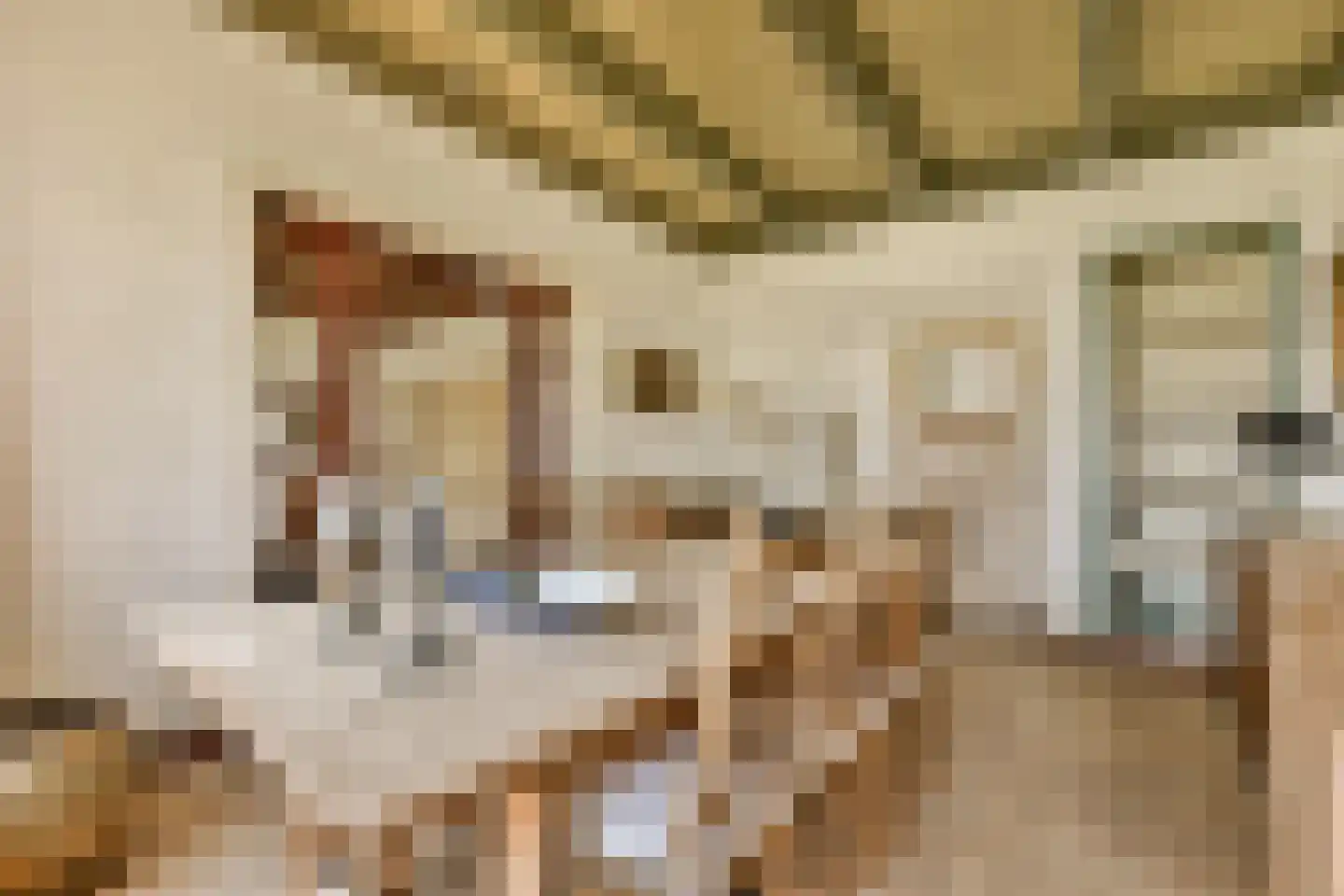 Trekwei 7 Workum thumbnail 15