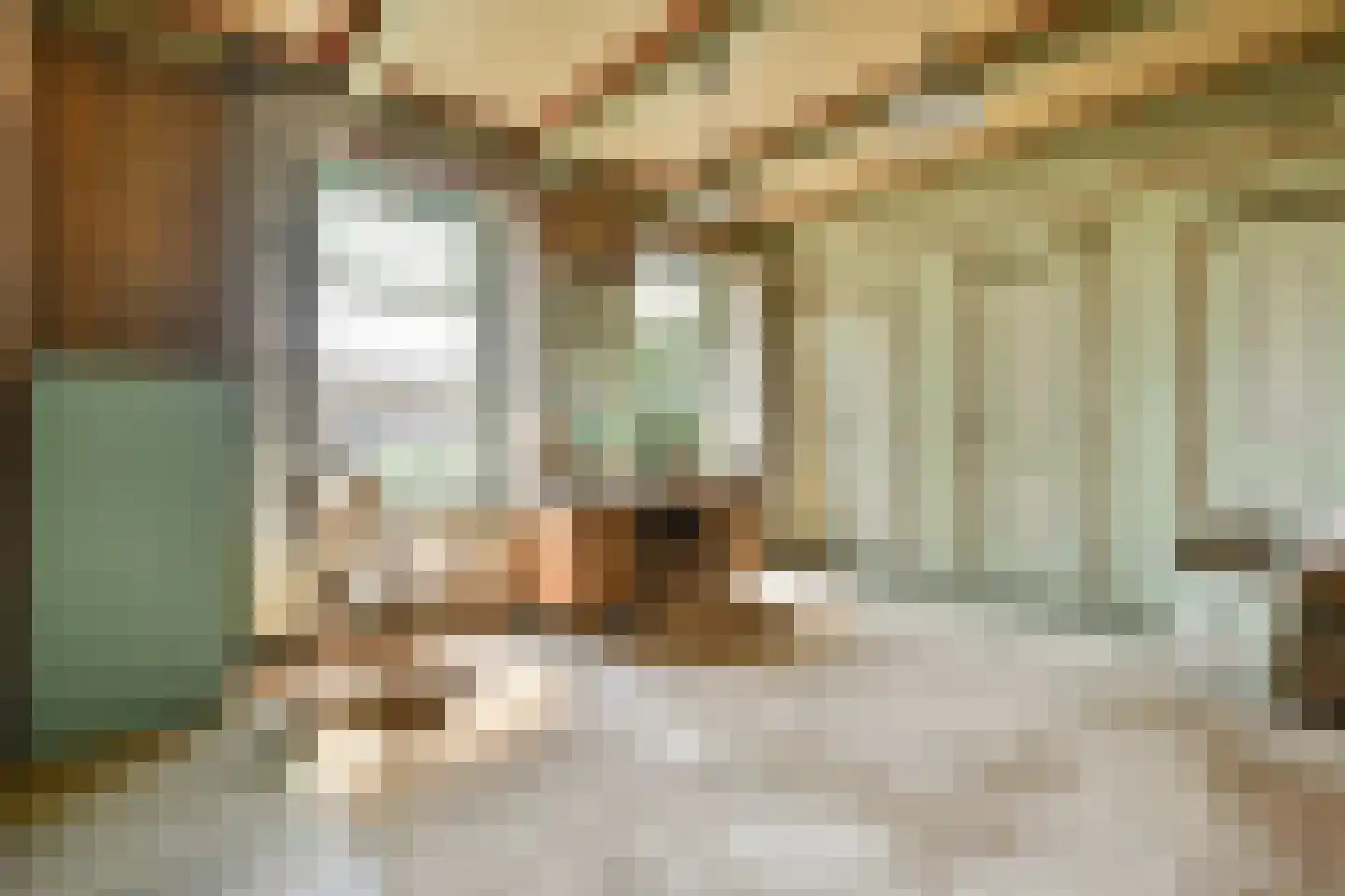 Trekwei 7 Workum thumbnail 17