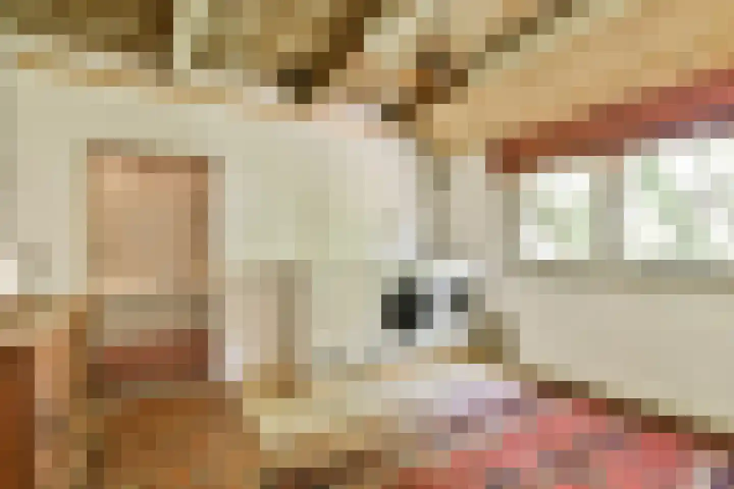 Trekwei 7 Workum thumbnail 21