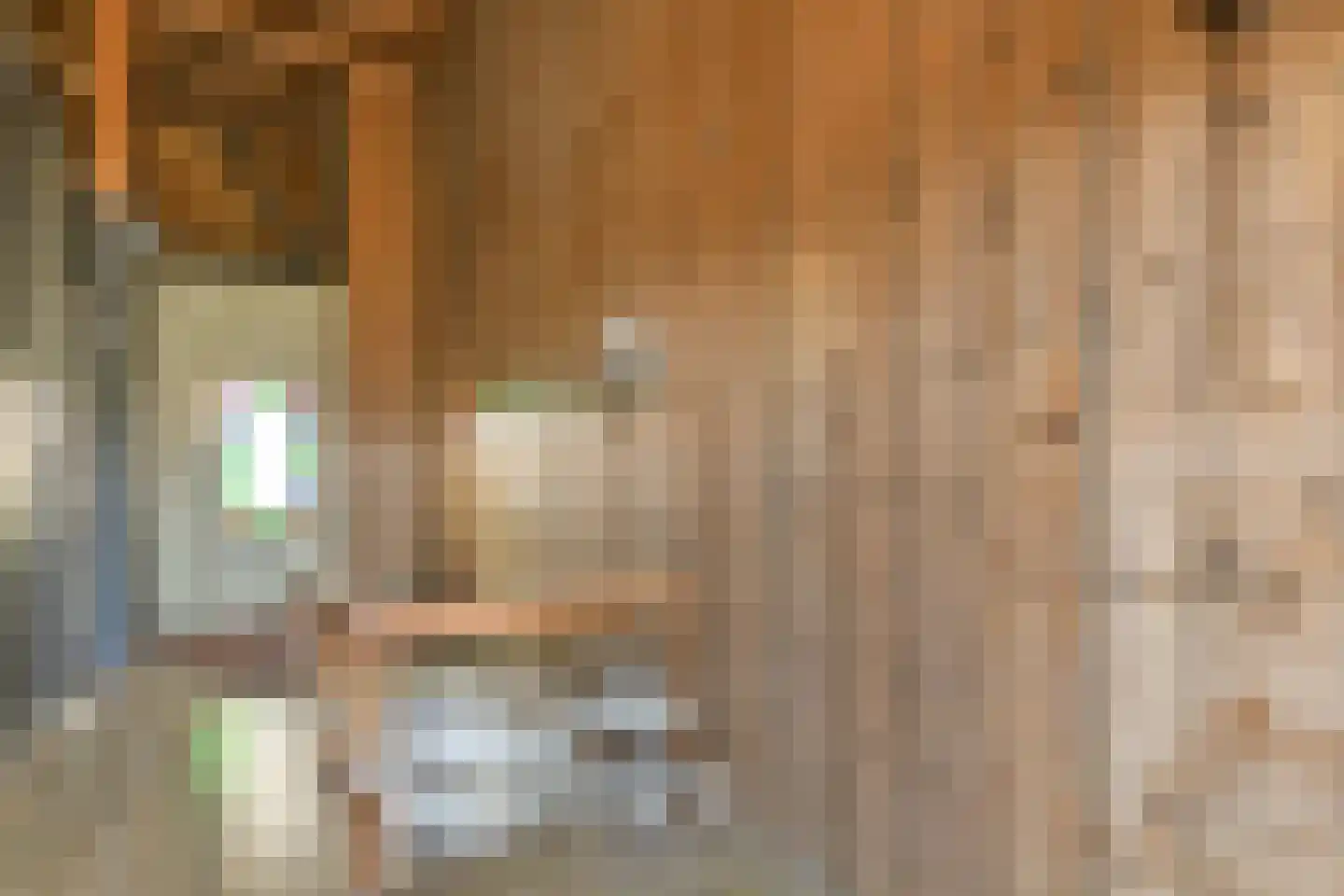Trekwei 7 Workum thumbnail 24