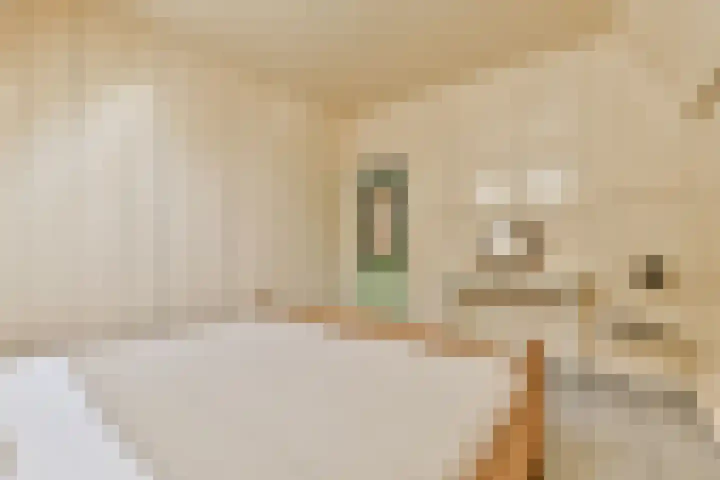 Trekwei 7 Workum thumbnail 27