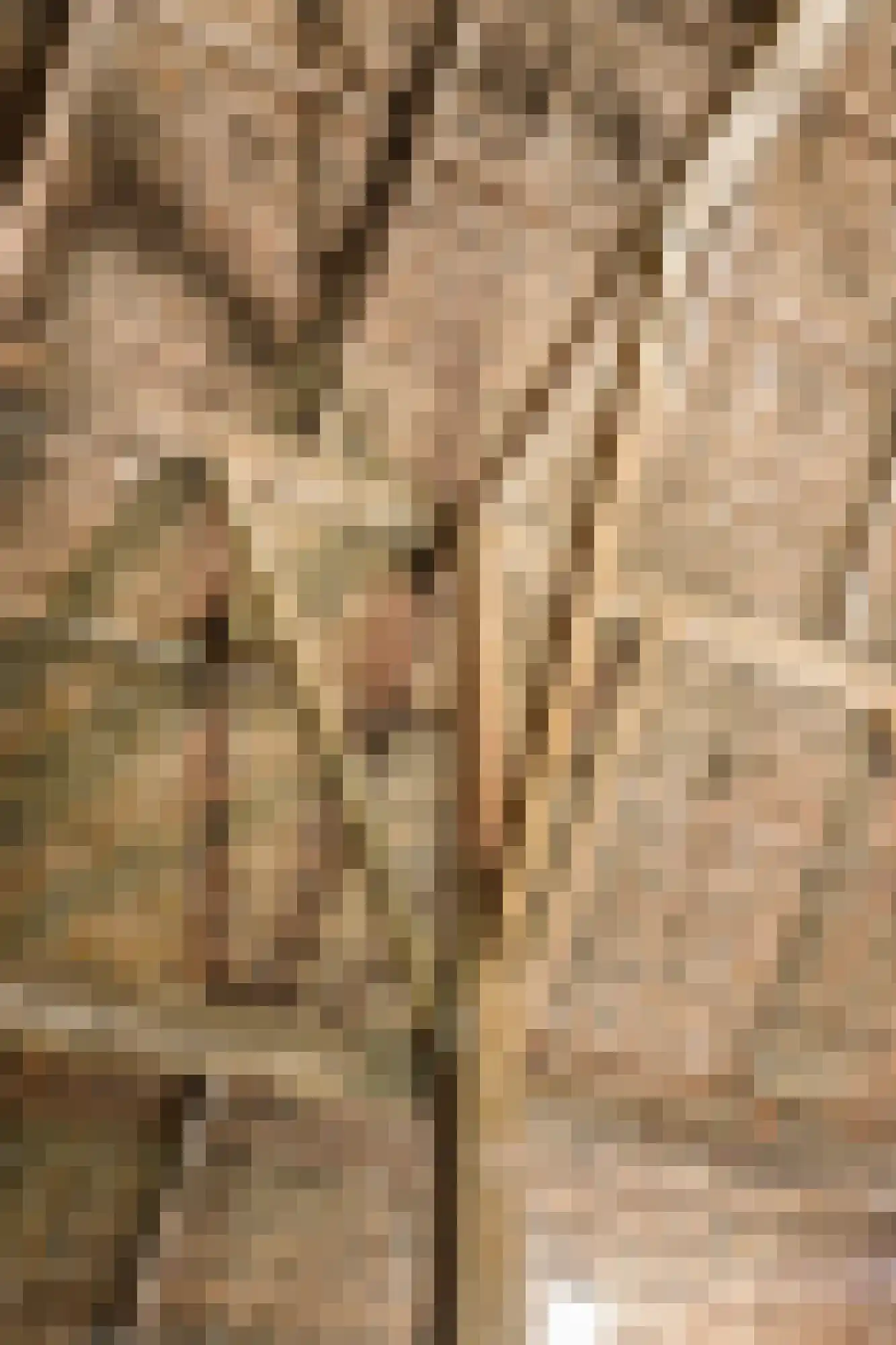 Trekwei 7 Workum thumbnail 30