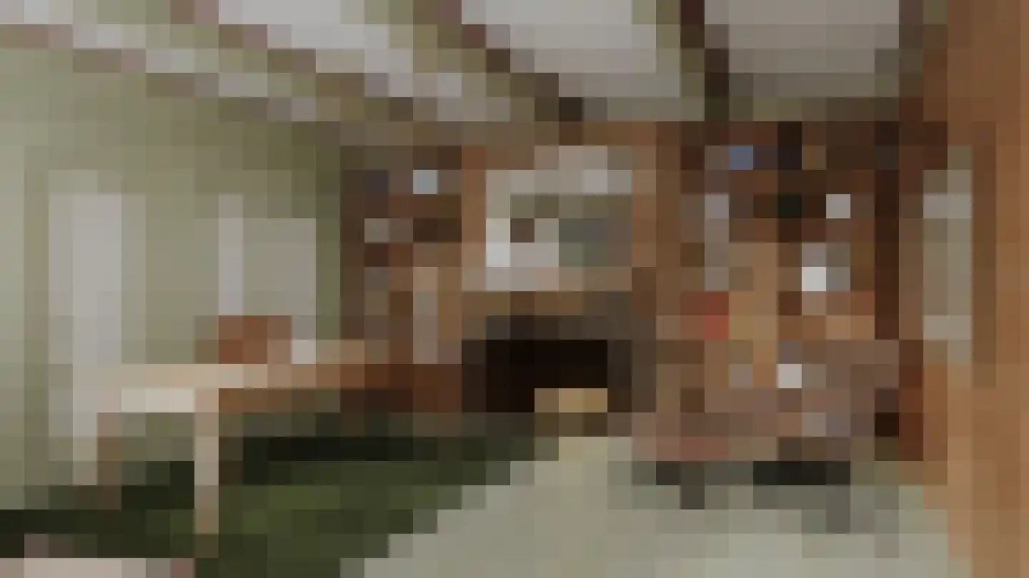 Trekwei 7 Workum thumbnail 34