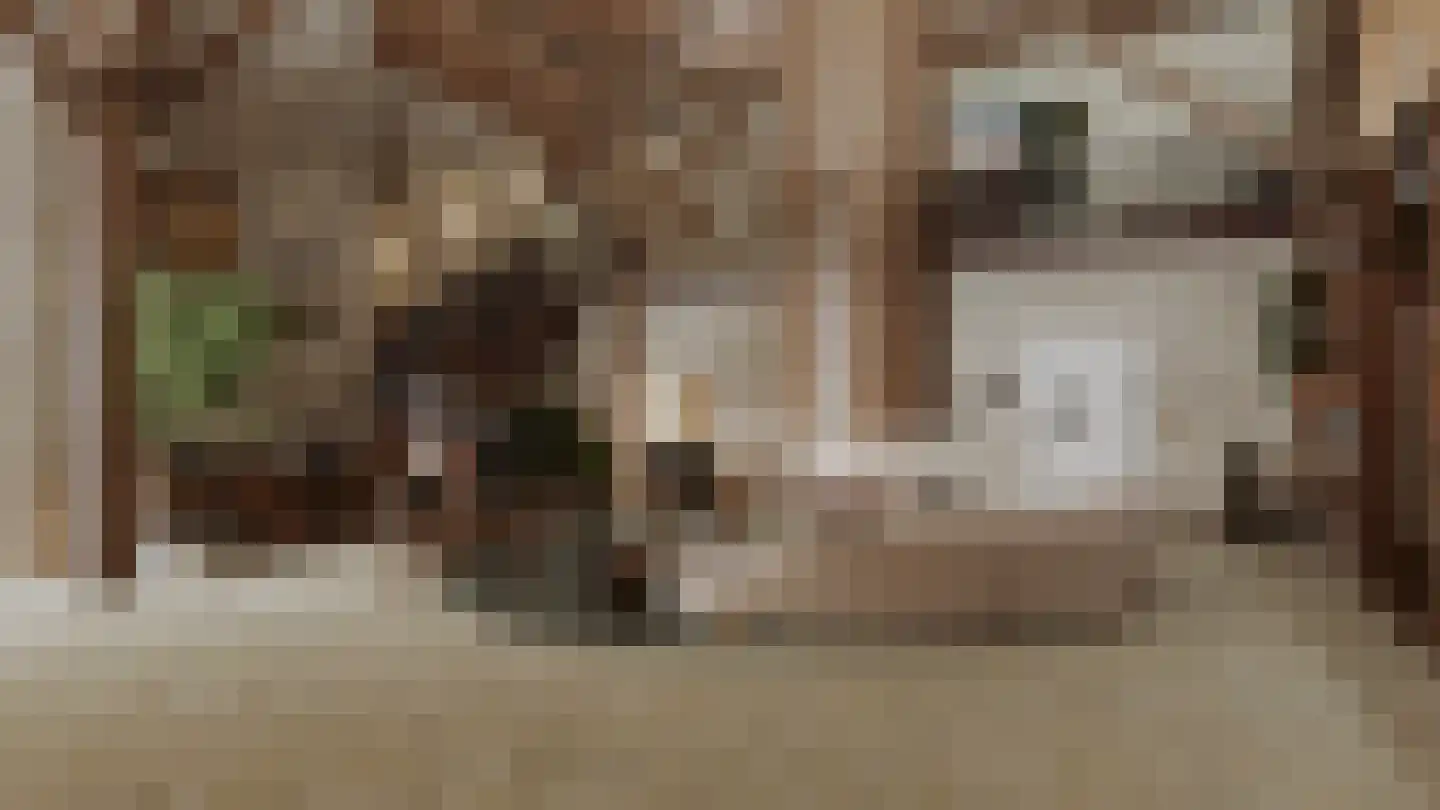 Trekwei 7 Workum thumbnail 37