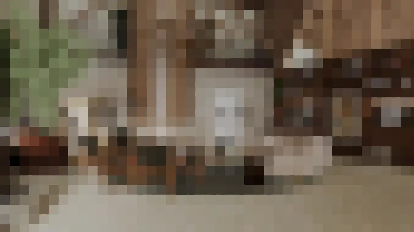 Trekwei 7 Workum thumbnail 38