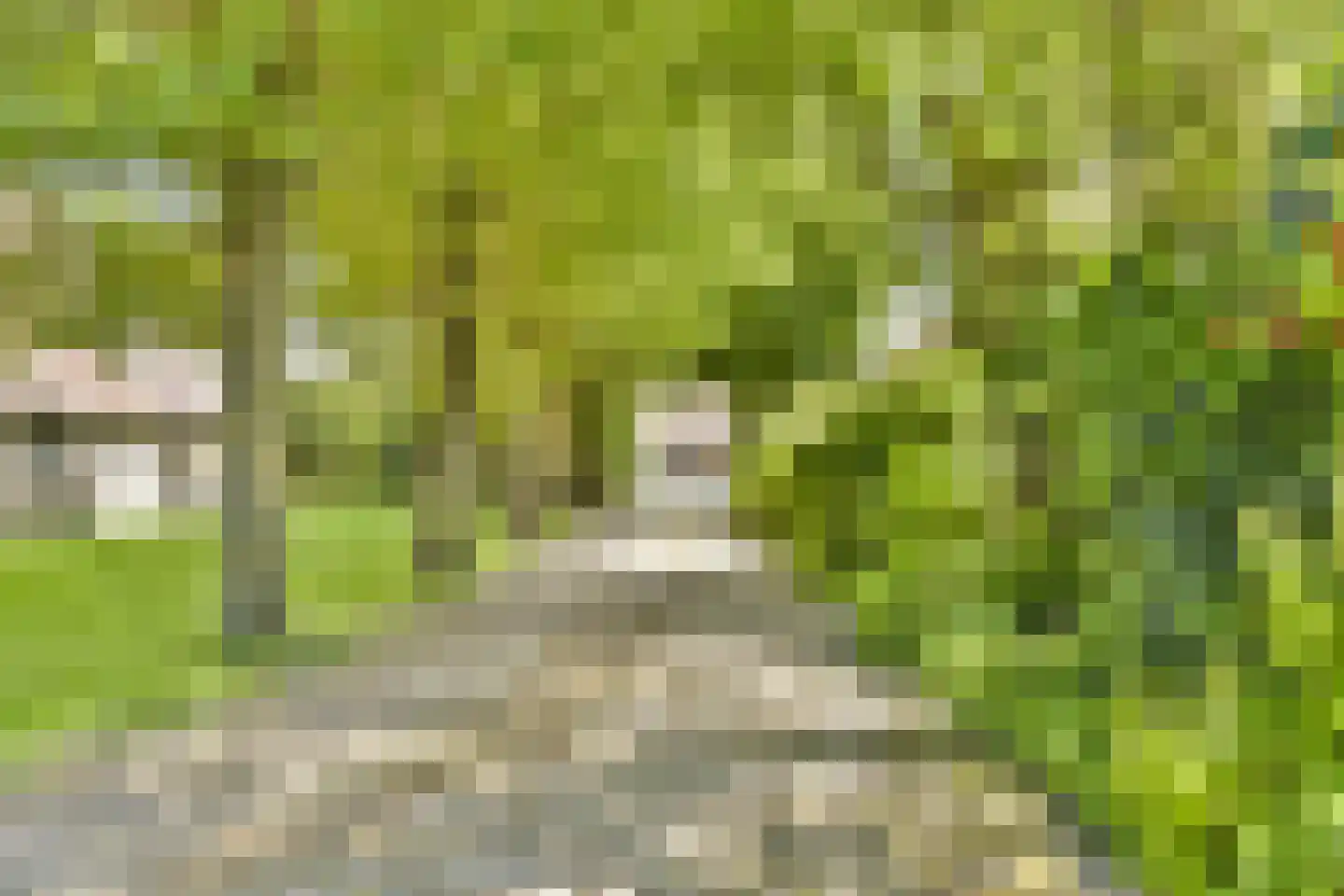 Trekwei 7 Workum thumbnail 4