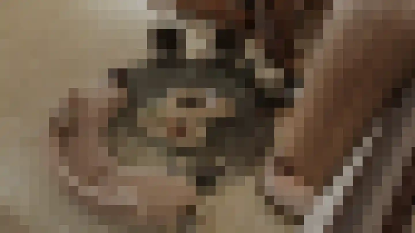 Trekwei 7 Workum thumbnail 40
