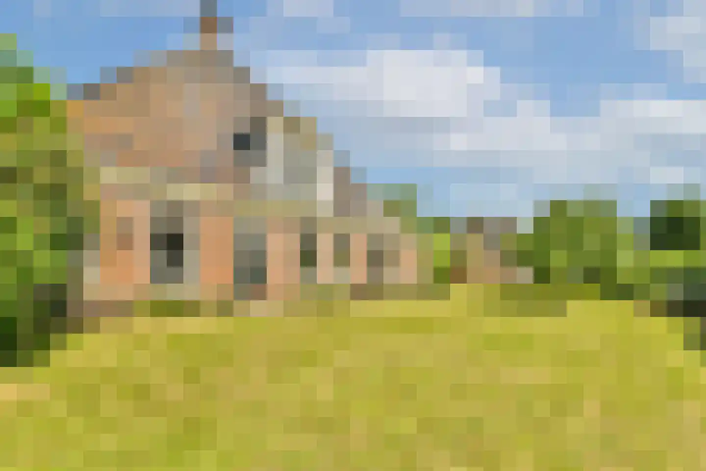 Trekwei 7 Workum thumbnail 42