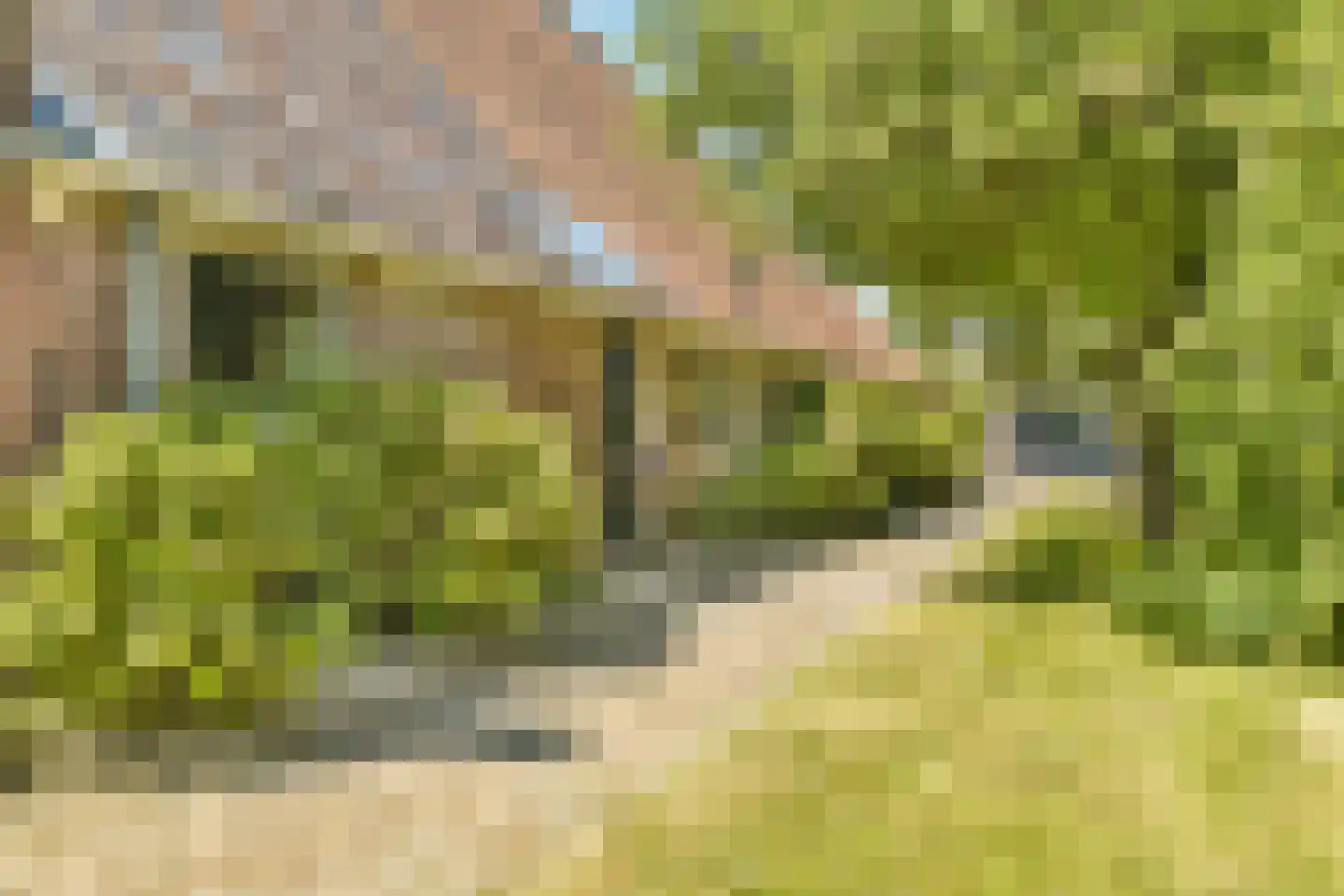 Trekwei 7 Workum thumbnail 43