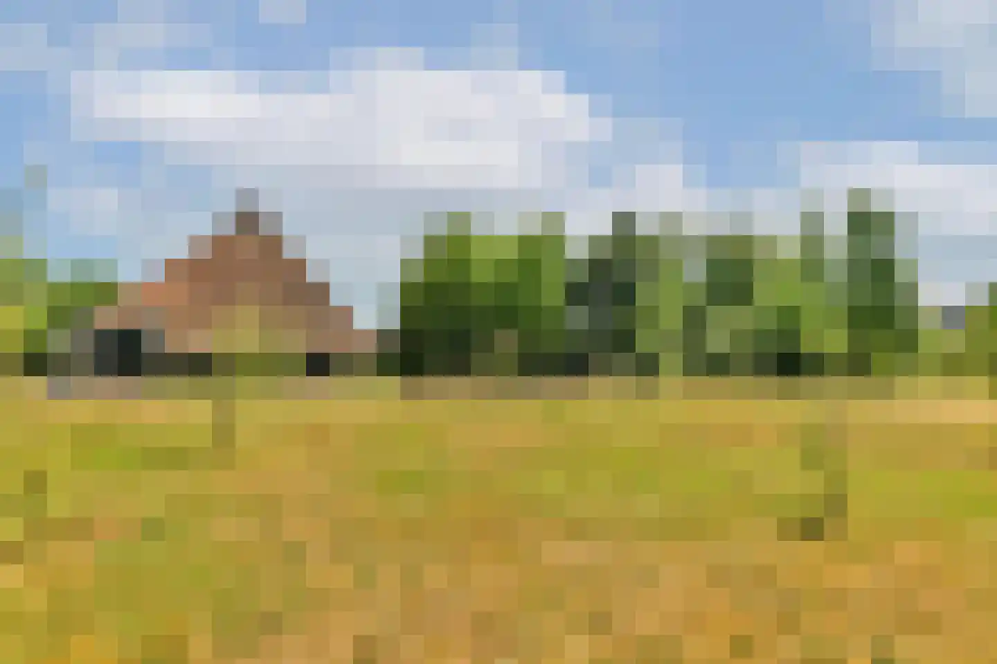 Trekwei 7 Workum thumbnail 48