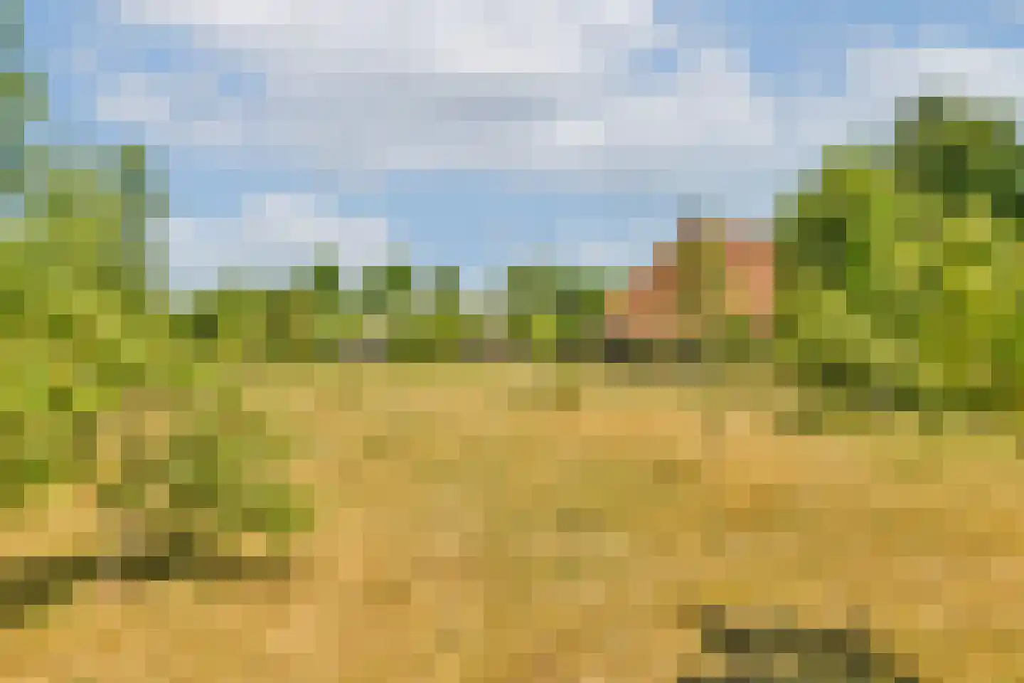 Trekwei 7 Workum thumbnail 51