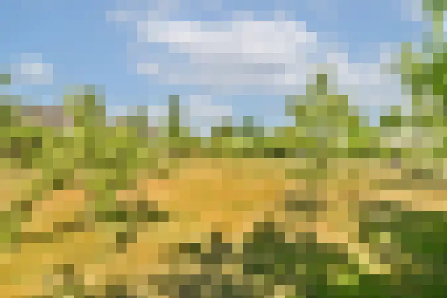 Trekwei 7 Workum thumbnail 52