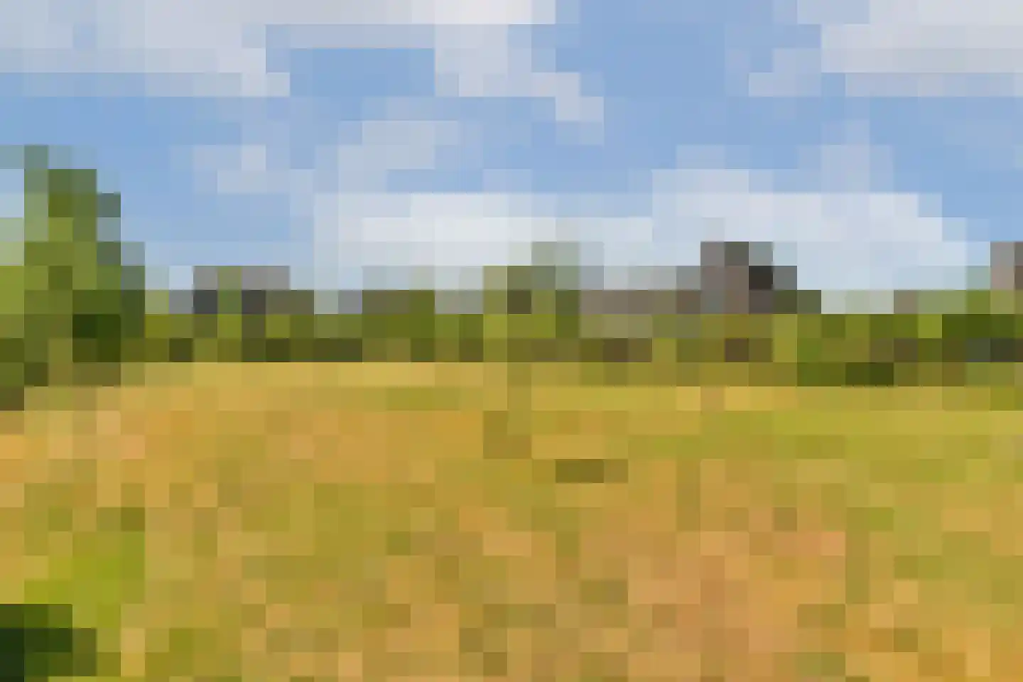 Trekwei 7 Workum thumbnail 53