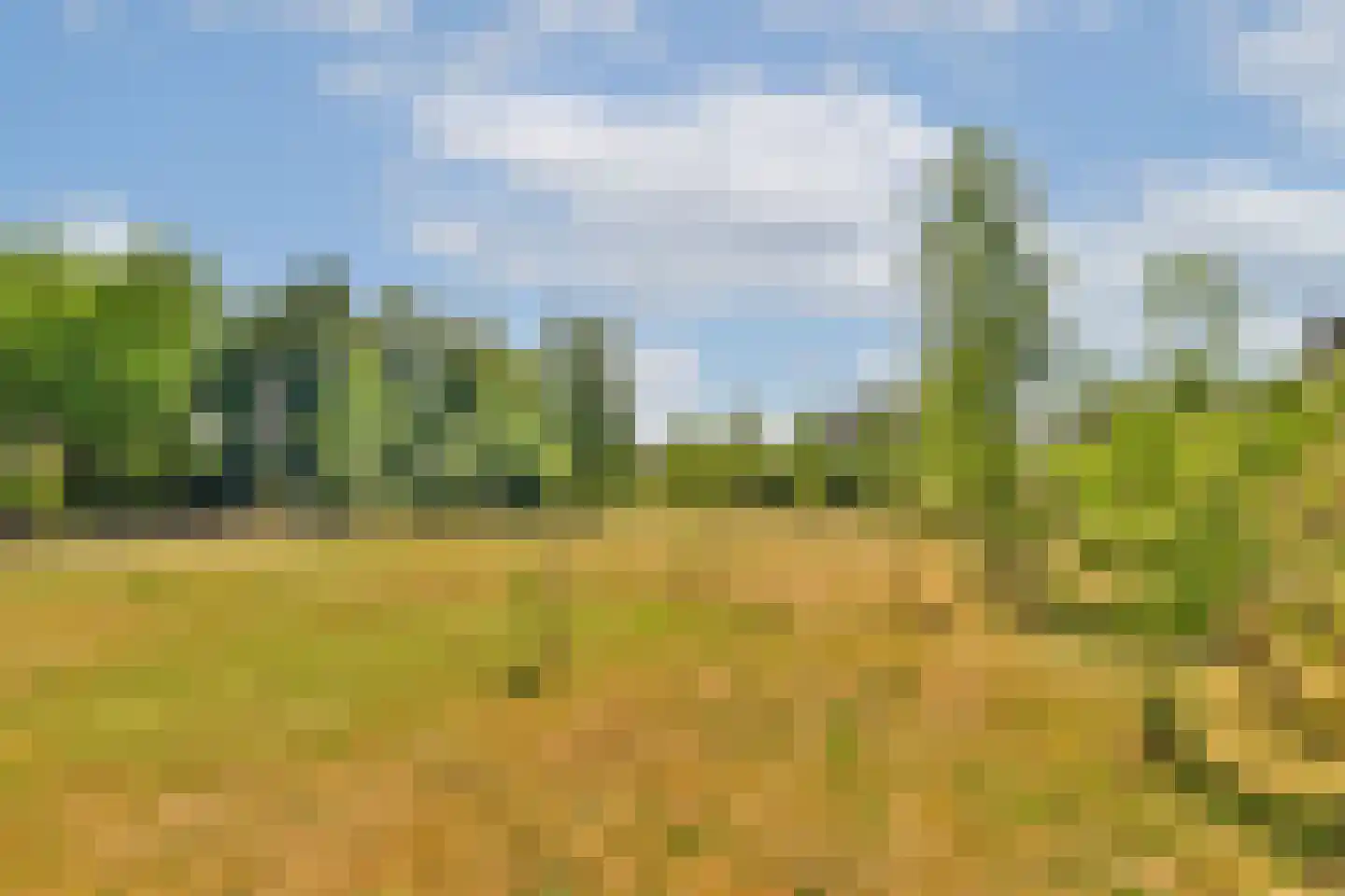 Trekwei 7 Workum thumbnail 54