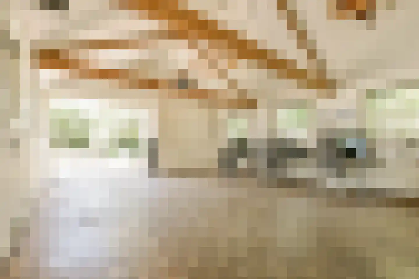 Trekwei 7 Workum thumbnail 57