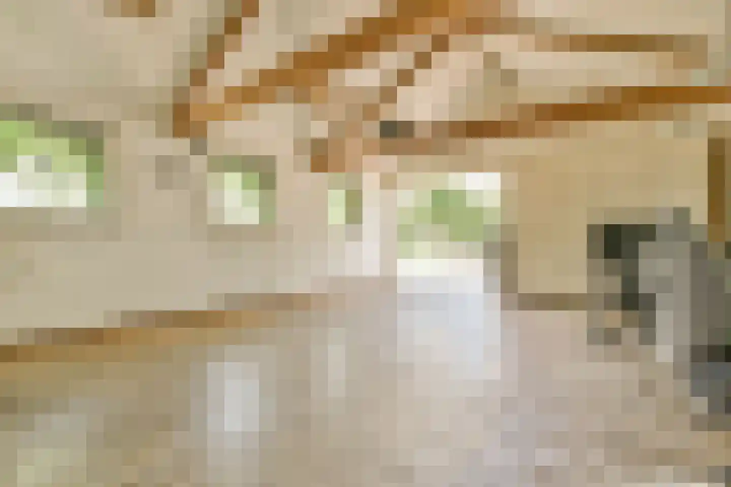 Trekwei 7 Workum thumbnail 58