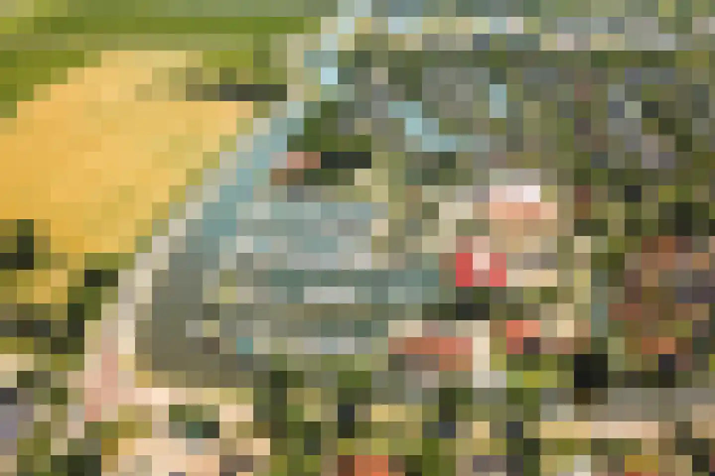 Trekwei 7 Workum thumbnail 62
