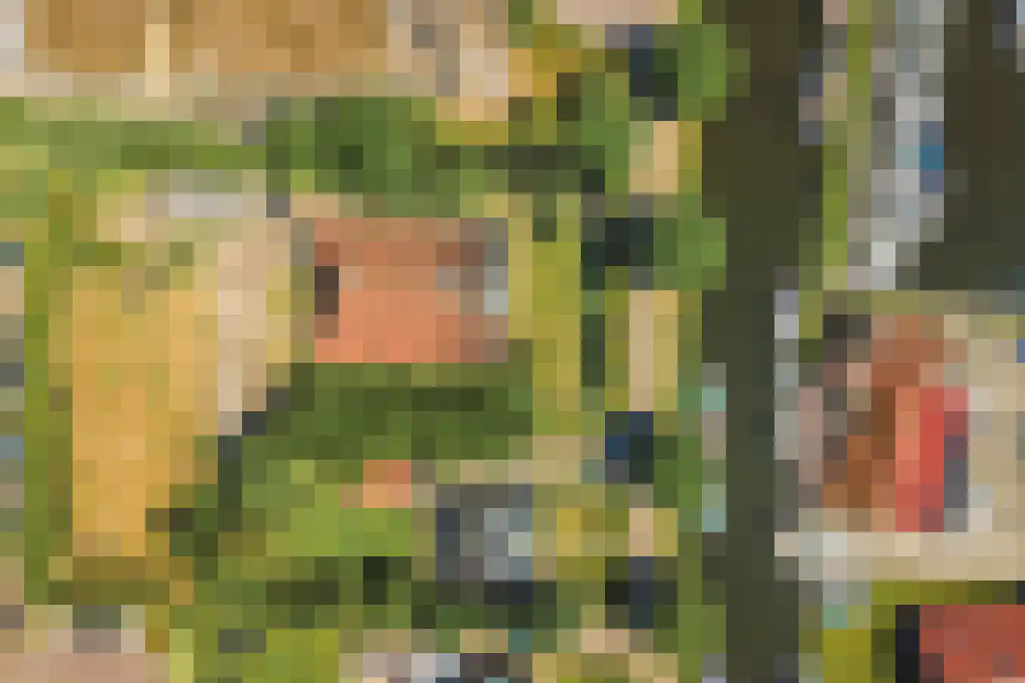 Trekwei 7 Workum thumbnail 68