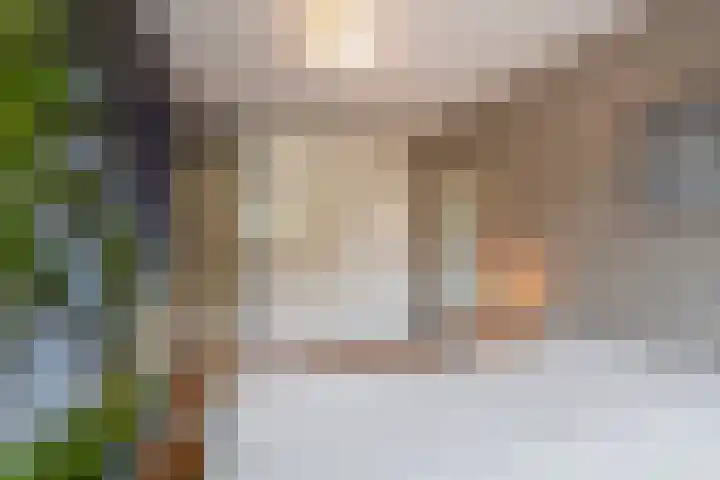 Trelleborg 22 Schiedam thumbnail 16