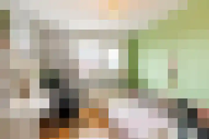 Trelleborg 22 Schiedam thumbnail 19