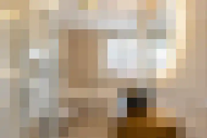 Trelleborg 22 Schiedam thumbnail 22