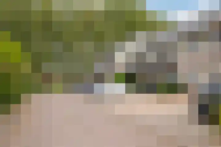 Trelleborg 22 Schiedam thumbnail 33