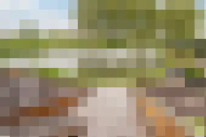 Trelleborg 22 Schiedam thumbnail 8