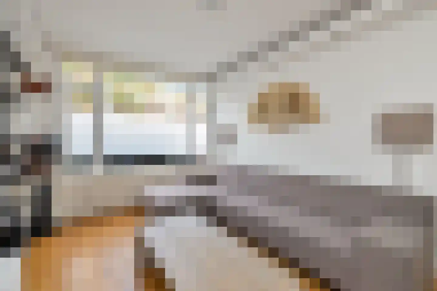 Trembleystraat 22 Den Haag thumbnail 13