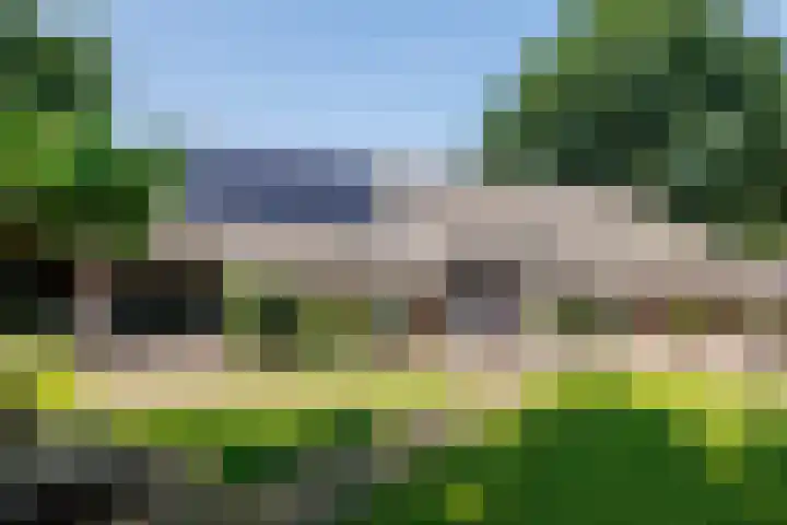 Trentsedijk 8 Zeeland thumbnail 4