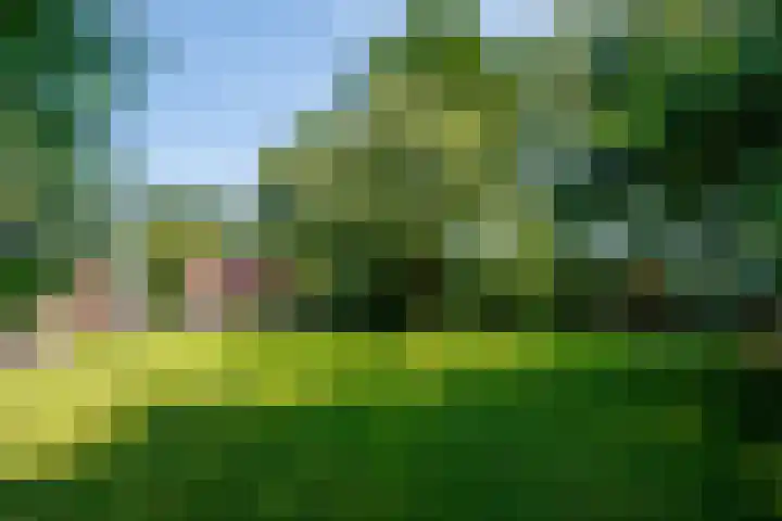 Trentsedijk 8 Zeeland thumbnail 61
