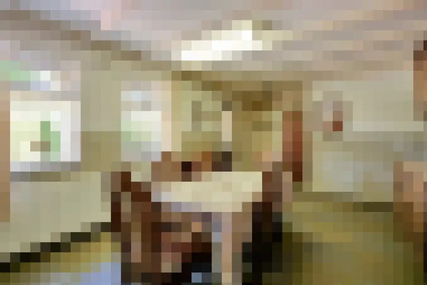 Trentweg 14 Erp thumbnail 16