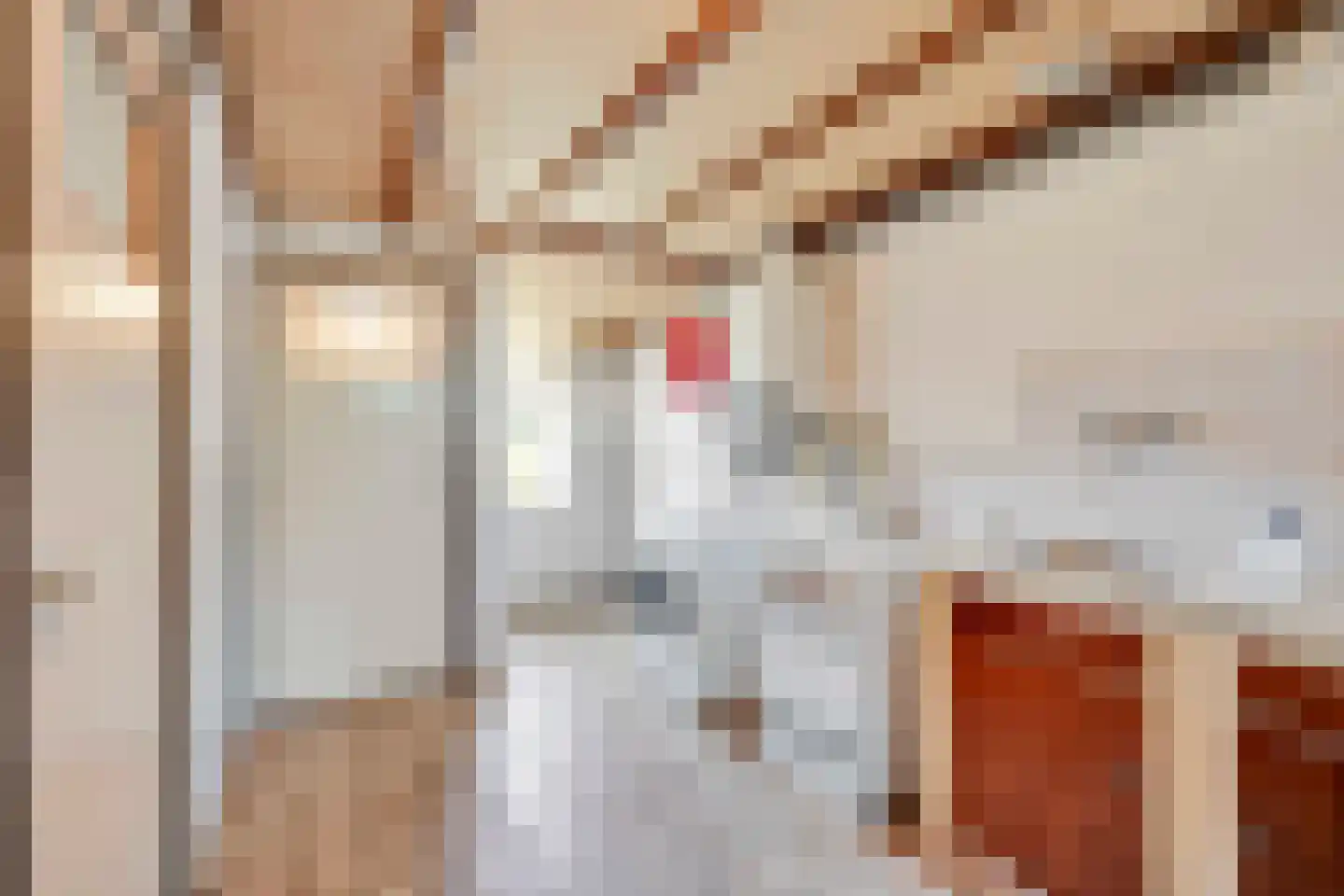 Trentweg 14 Erp thumbnail 23