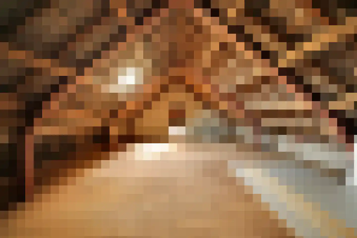 Trentweg 14 Erp thumbnail 32