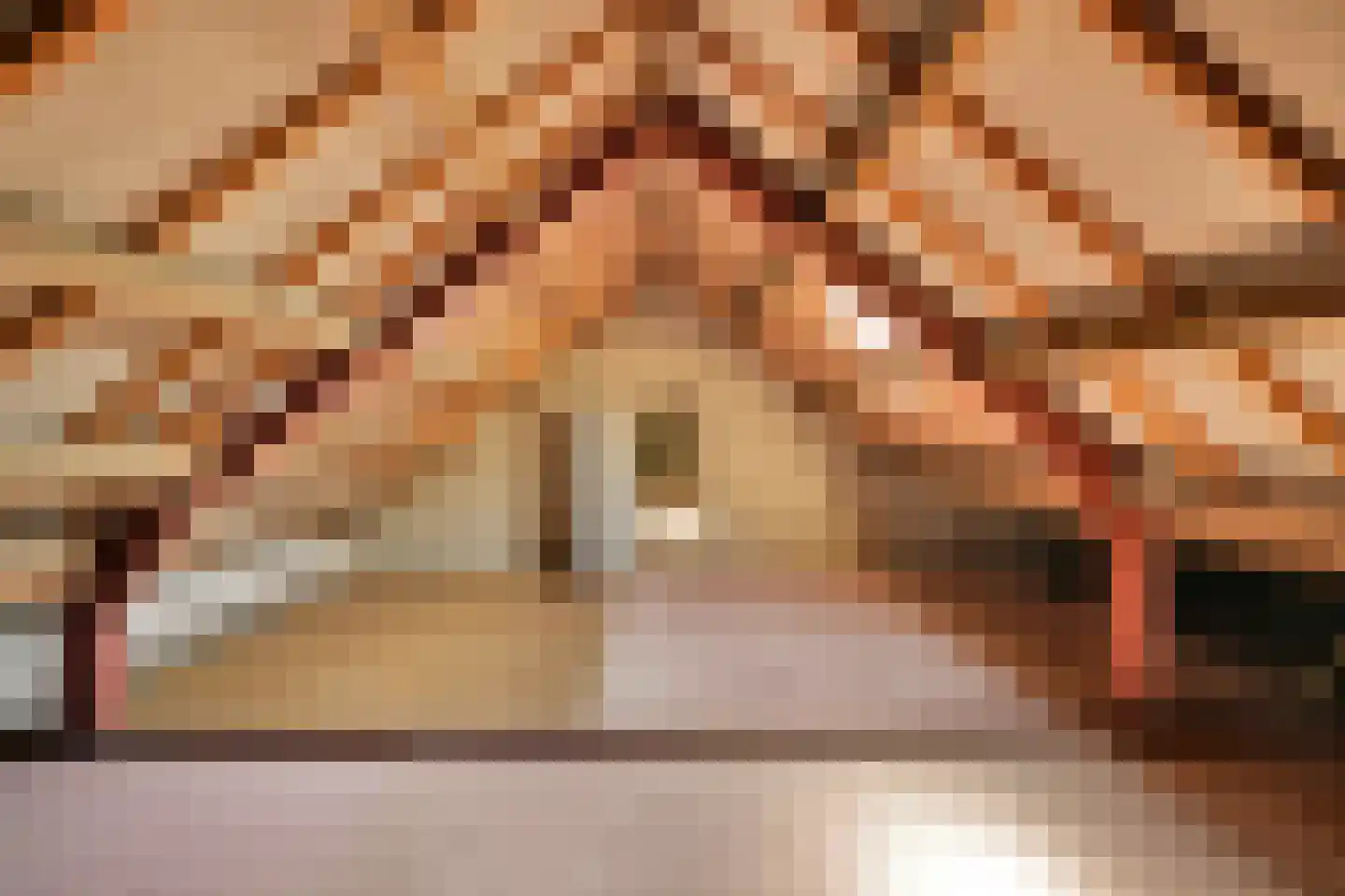 Trentweg 14 Erp thumbnail 33