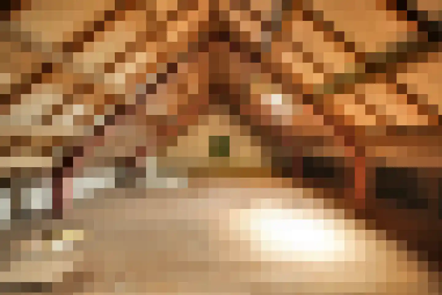 Trentweg 14 Erp thumbnail 35