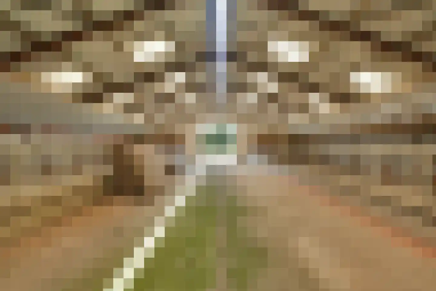 Trentweg 14 Erp thumbnail 37