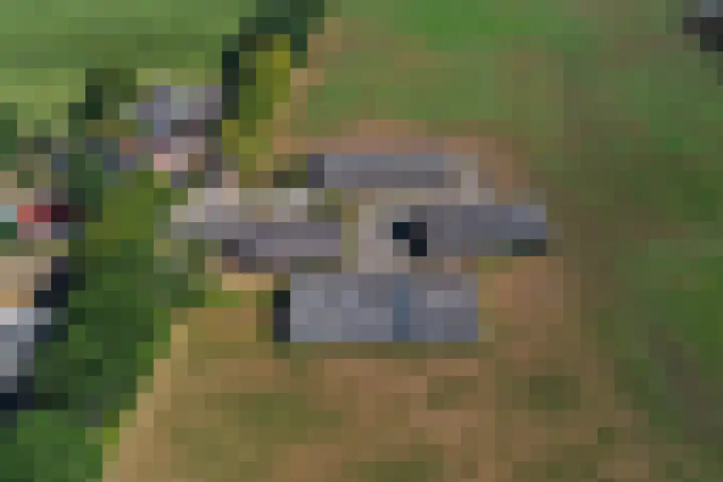Trentweg 14 Erp thumbnail 48