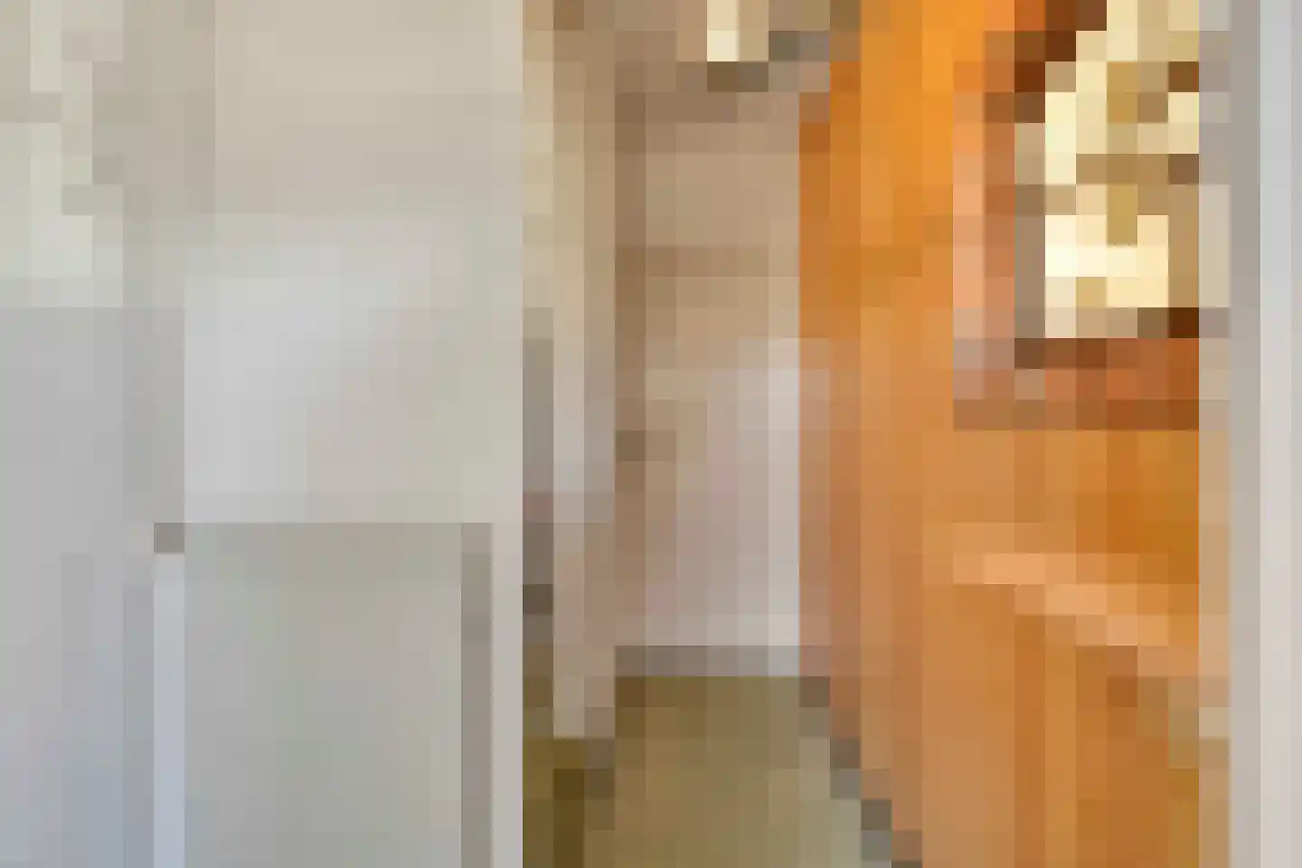 Trentweg 14 Erp thumbnail 5