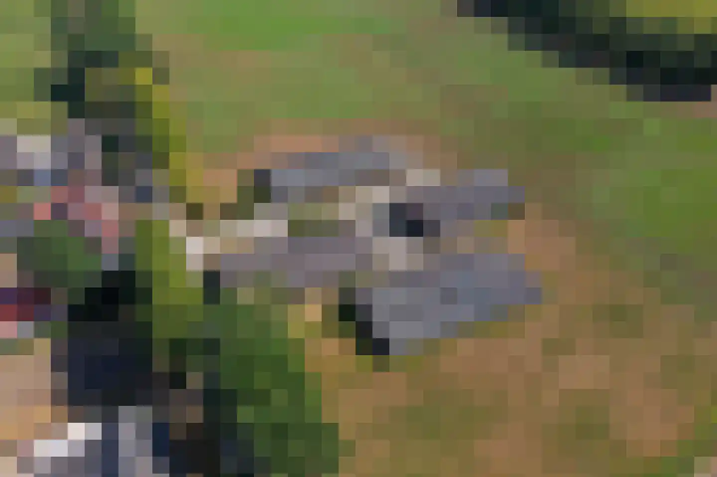 Trentweg 14 Erp thumbnail 51