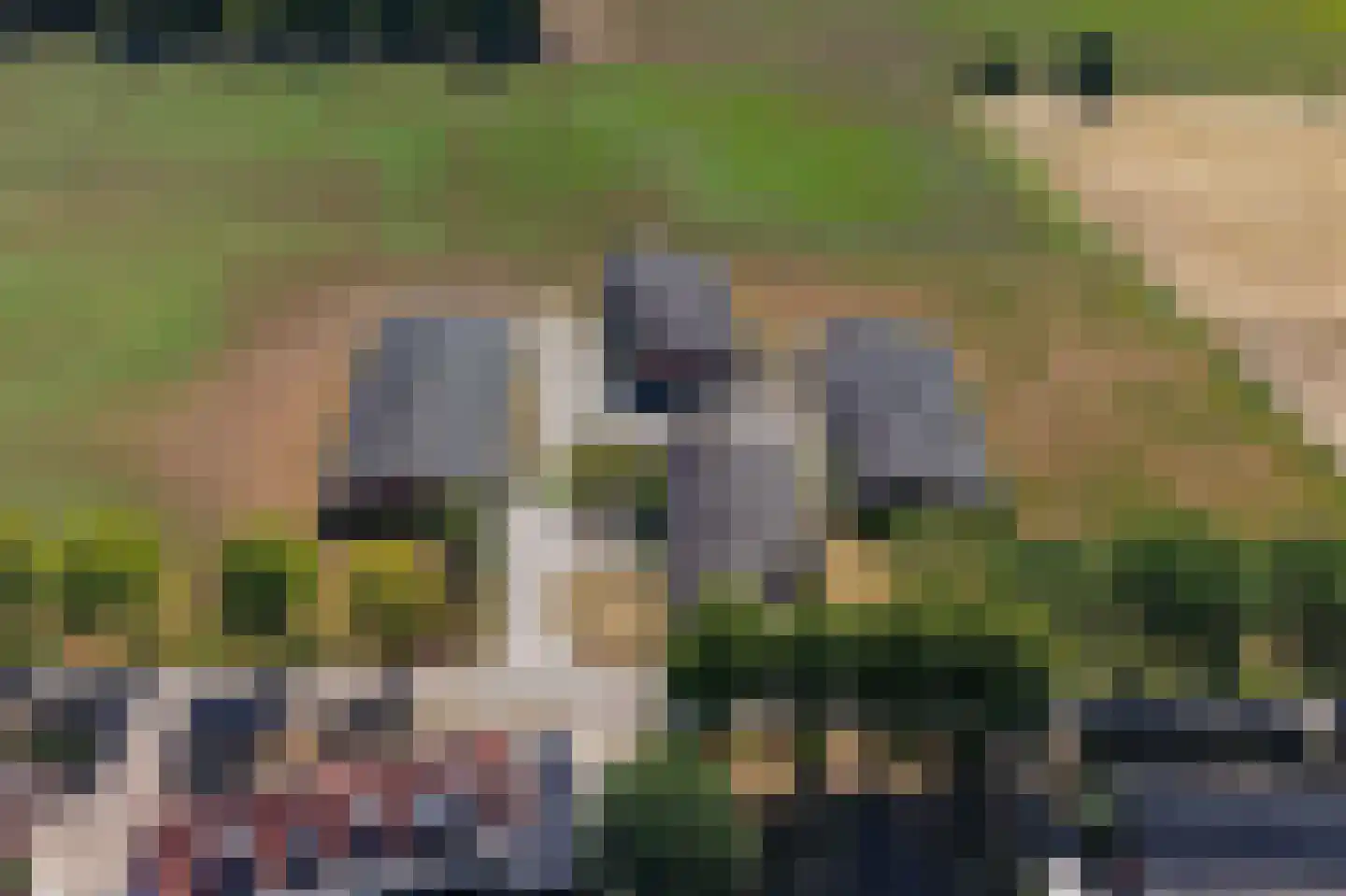 Trentweg 14 Erp thumbnail 52