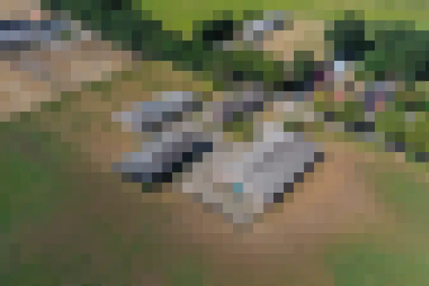 Trentweg 14 Erp thumbnail 53