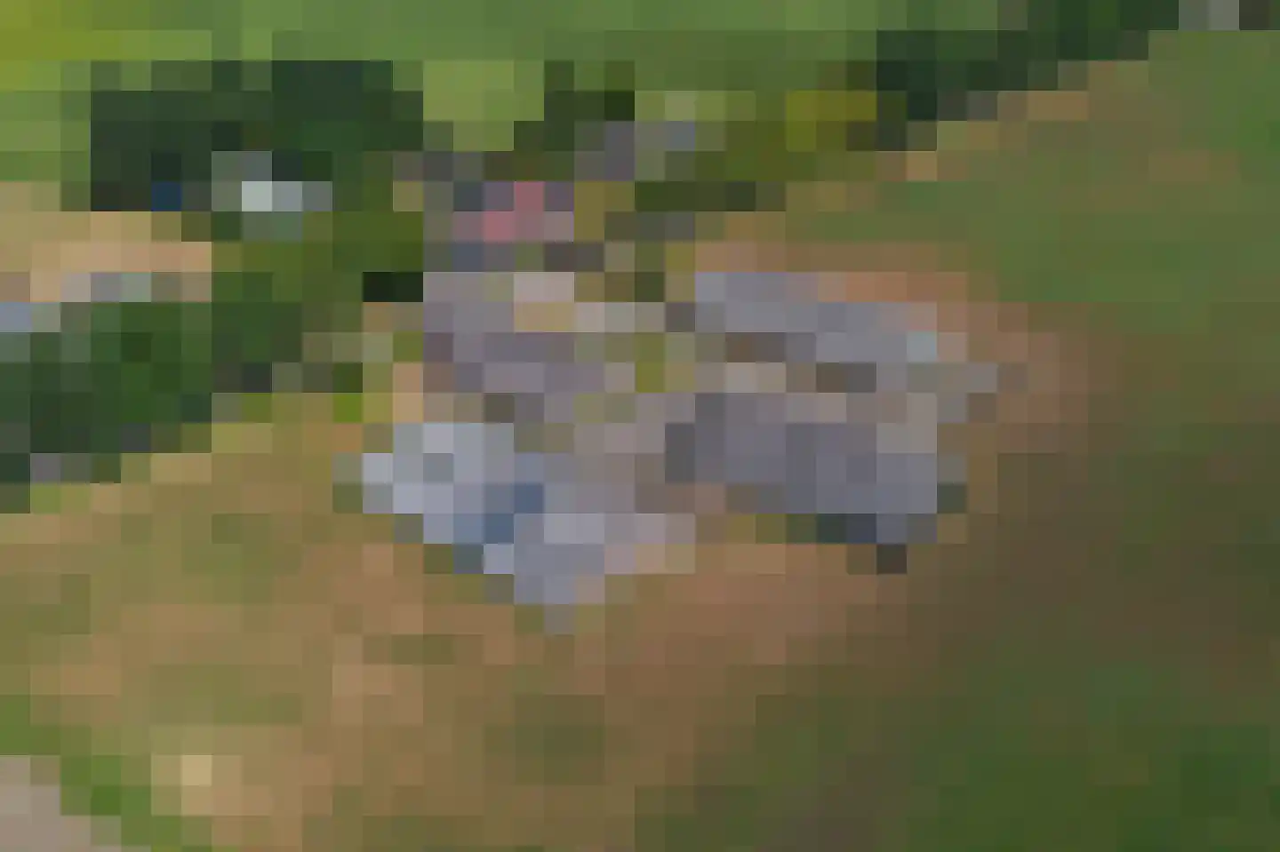 Trentweg 14 Erp thumbnail 54
