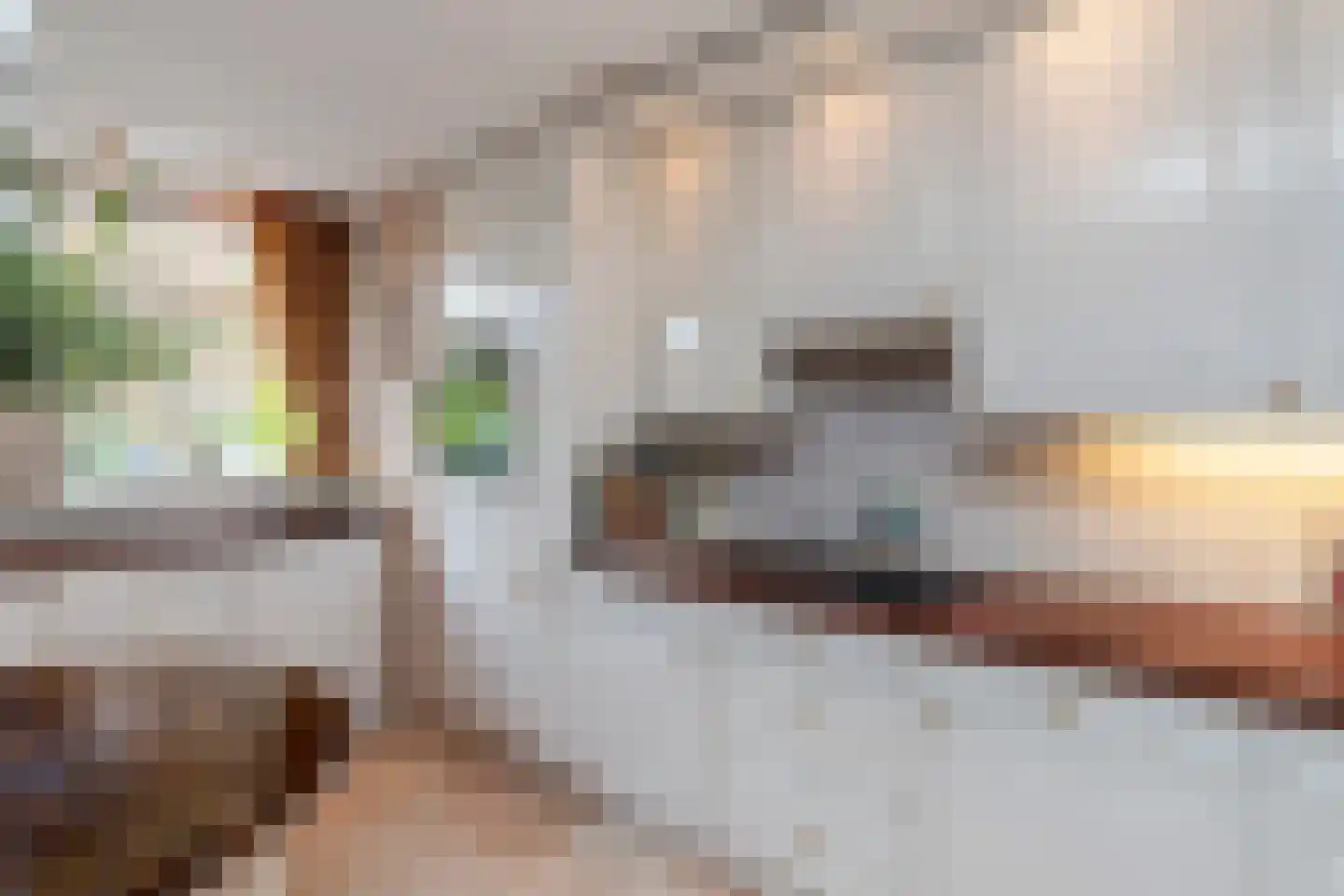 Treslonglaan 122 Den Haag thumbnail 10