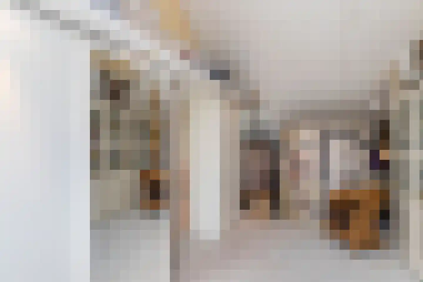 Treslonglaan 122 Den Haag thumbnail 36