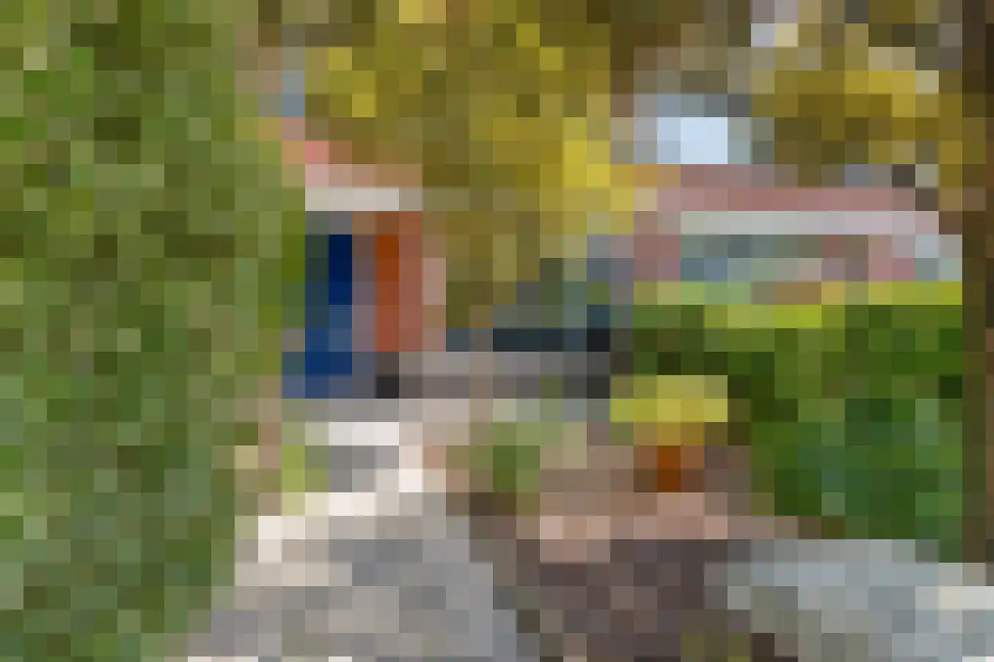 Treslonglaan 122 Den Haag thumbnail 5