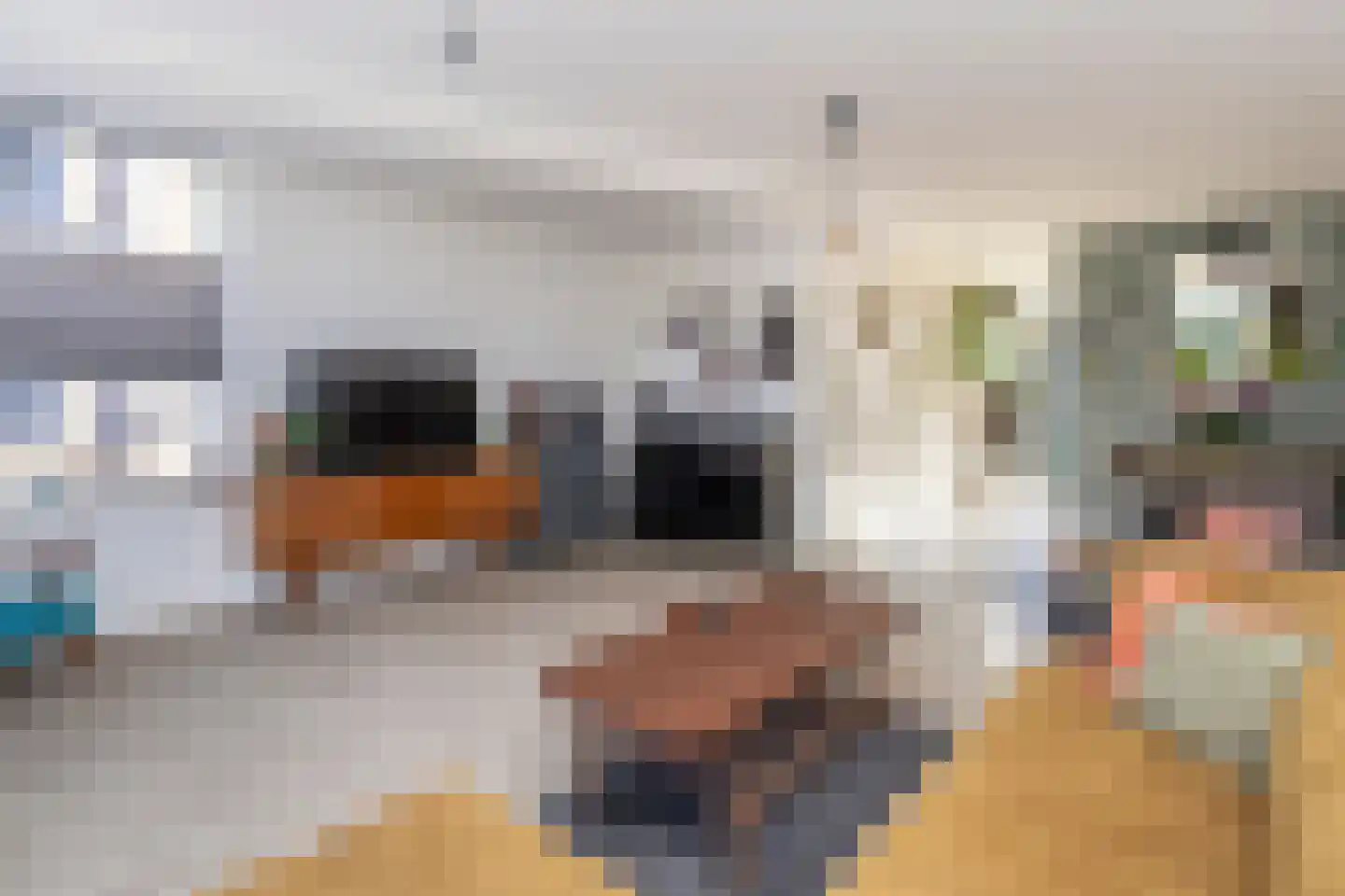 Treslonglaan 222 Den Haag thumbnail 15