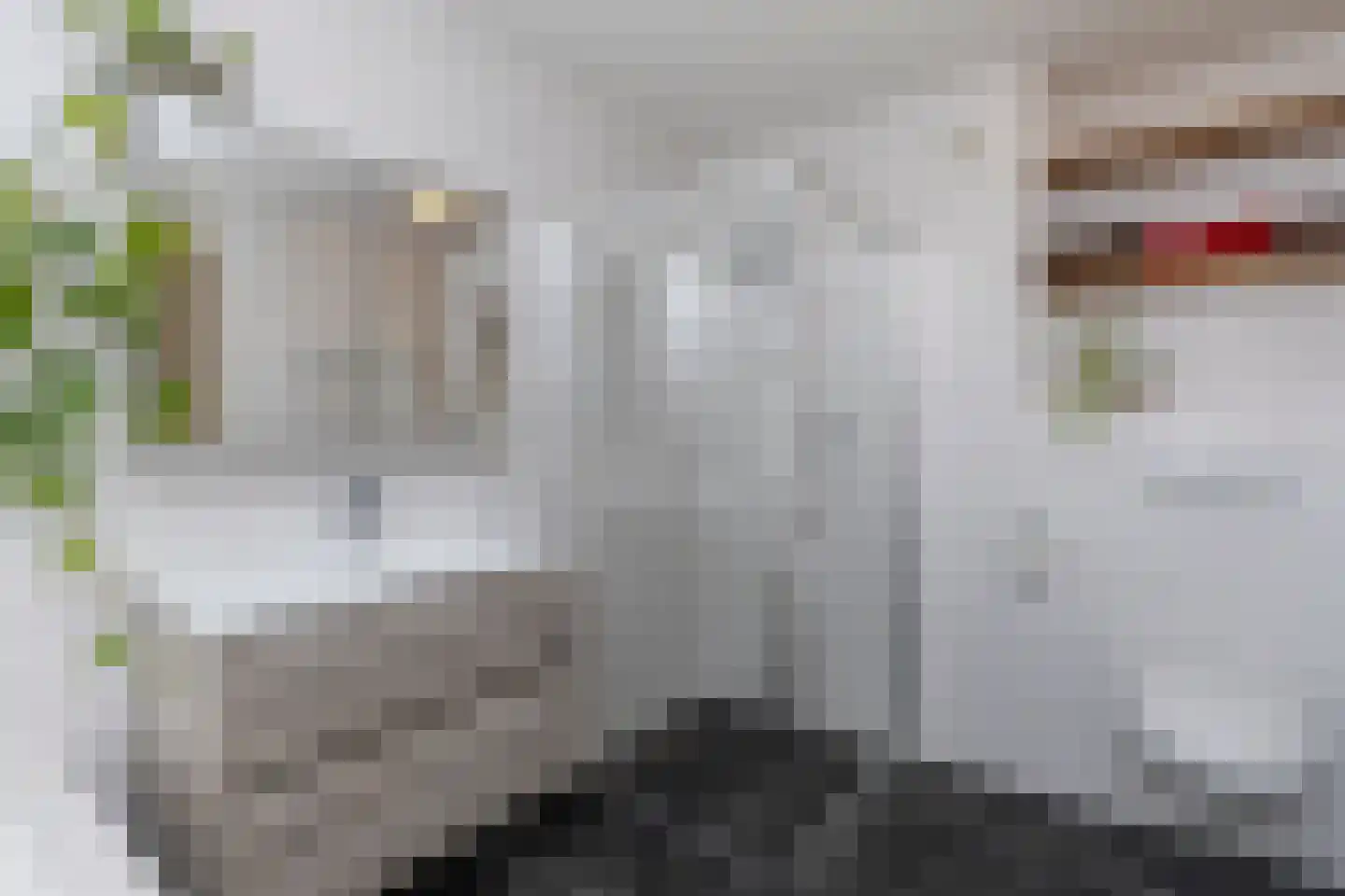 Treslonglaan 222 Den Haag thumbnail 37