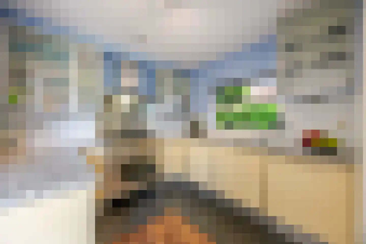 Treslonglaan 45 Den Haag thumbnail 18